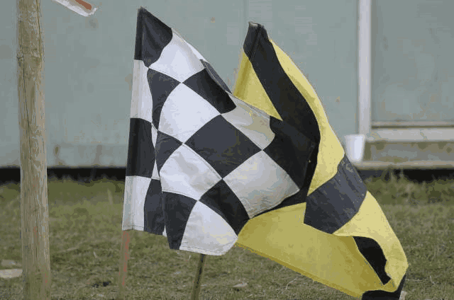 Racing flags clip